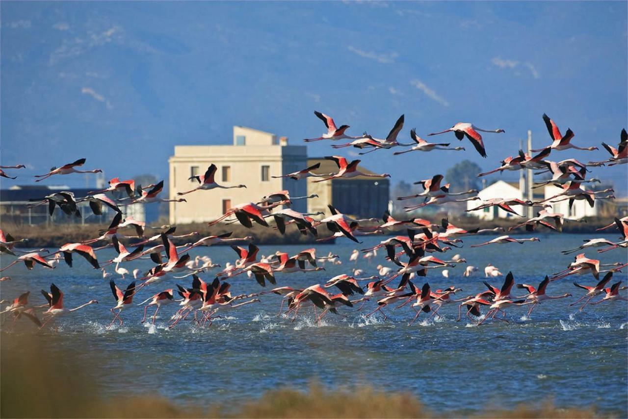 Mi Apartamento En El Delta Del Ebro+ Deltebre Exterior foto